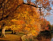 Rijstenborgherpark, Deventer  (c) Henk Melenhorst : Herfst